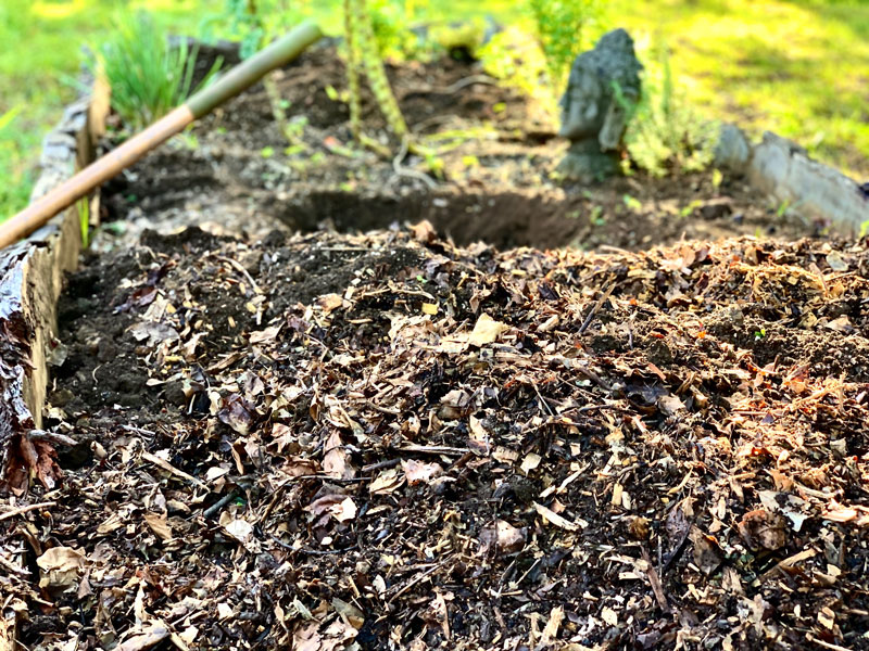 mushroom-mulching-climbinghi