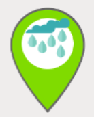 trees-reduce-storm-water-image