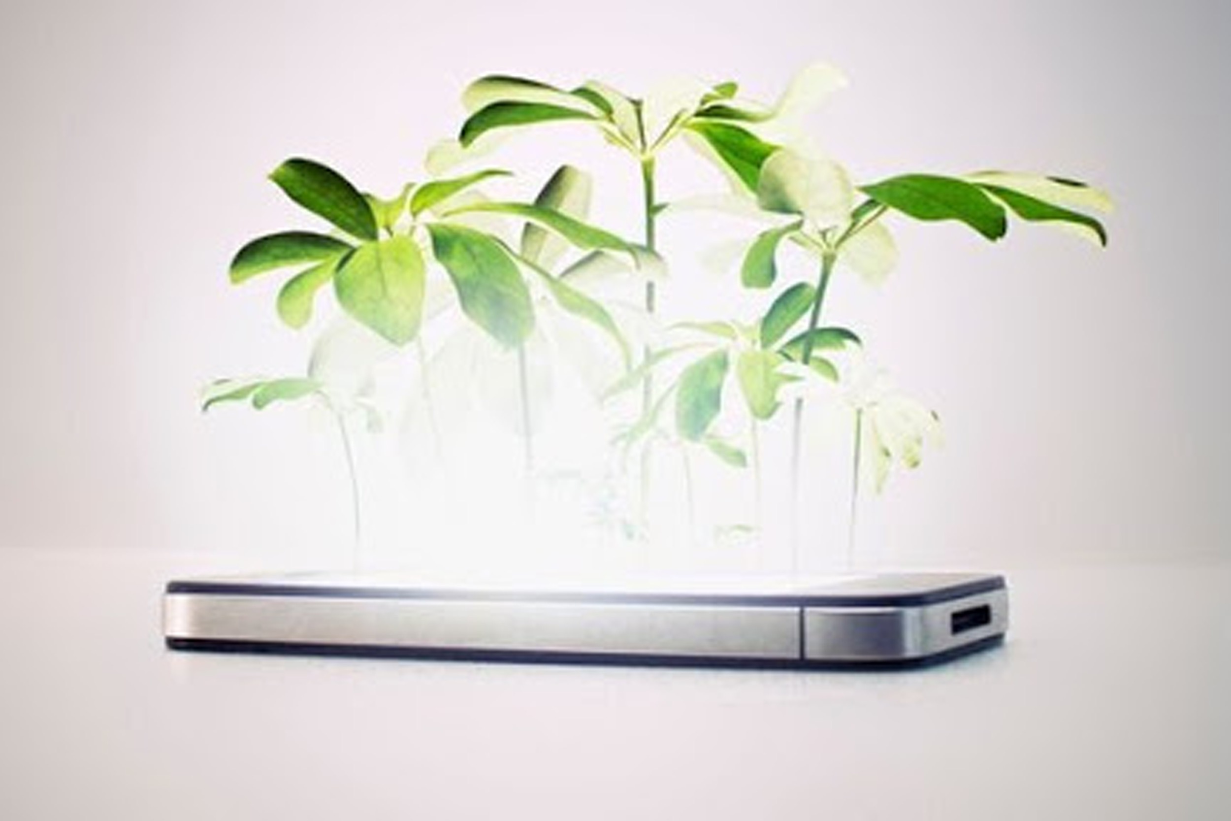trees growing from hard disk