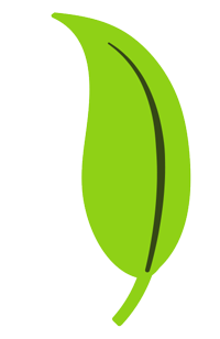 plant-health-care-green-leaf