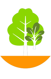 plant-health-care-tree-planting