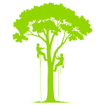climbinghi-graphic-tree-pruning