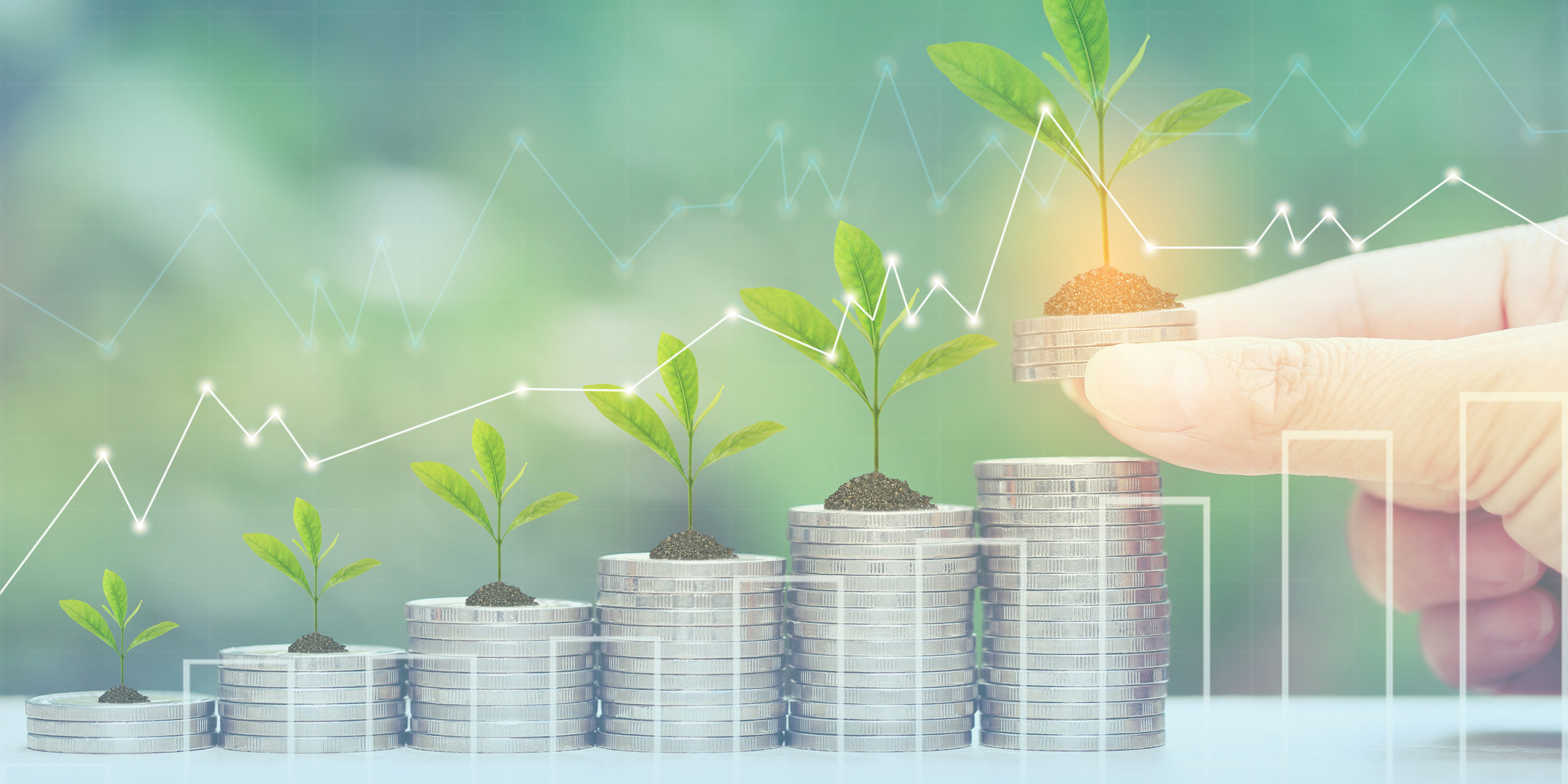 Climbinghi-Economic-value-of-trees-image